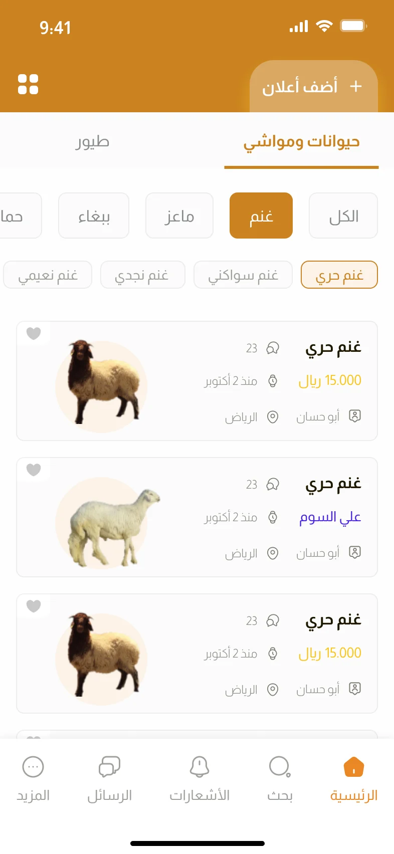تطبيق مزاد الأنعام — الرئيسية والأقسام